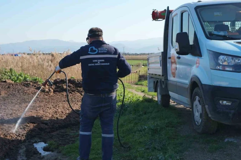 Balıkesir Büyükşehir’in haşerelere karşı mücadelesi sürüyor 