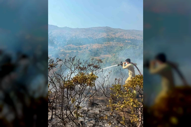 Balıkesir’de bir günde 7 farklı alanda yangın çıktı 