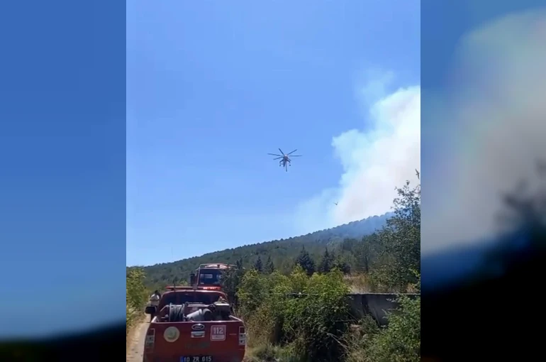 Balıkesir’de bir orman yangını daha