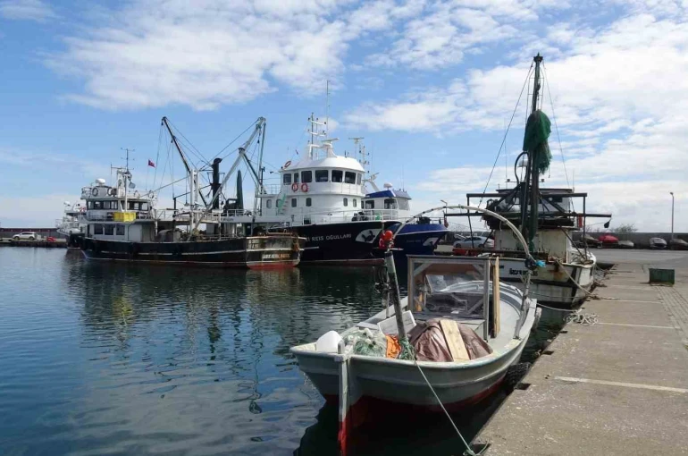 Balıkta bereketli sezon: "Halk bu yıl balığa doydu"