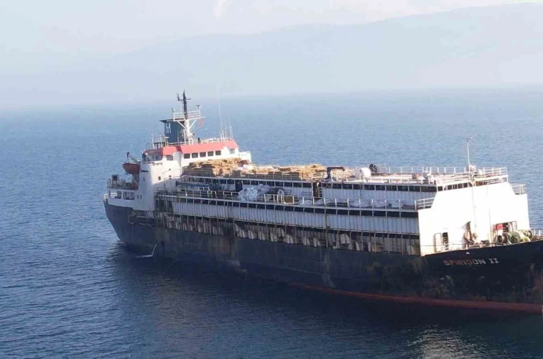 Bandırma açıklarında 24 gün bekletilen Spiridon II hayvan gemisi geri dönüş yolunda: Uzmanlardan "acil tehdit" uyarısı