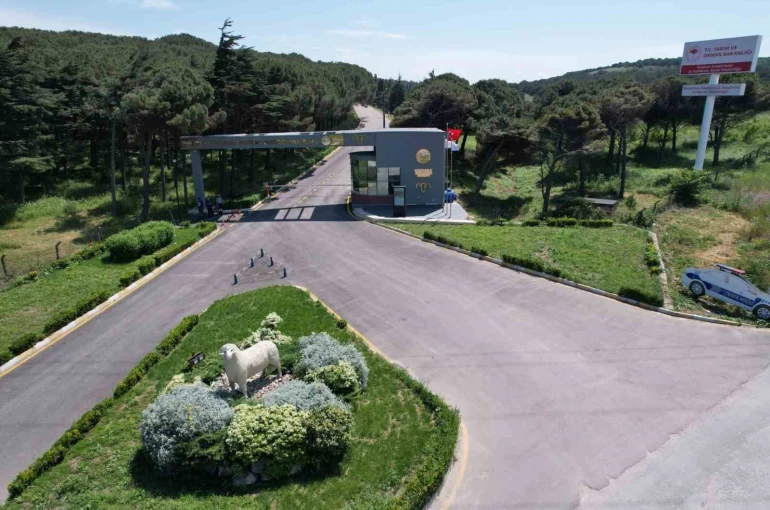 Bandırma Koyunculuk Araştırma Enstitüsü’nün TÜBİTAK projesine destek