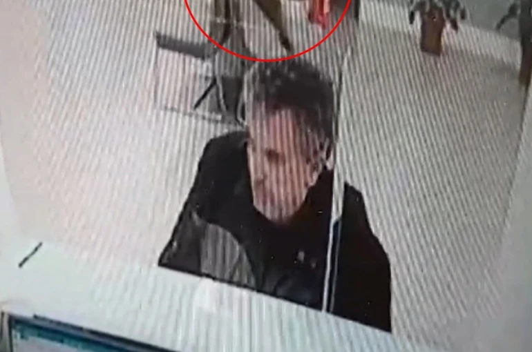 Bankada işlem yaparken üzerine kedi düştü 