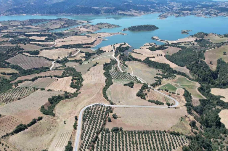 Baraj çevresi bal ormanına dönüşüyor 