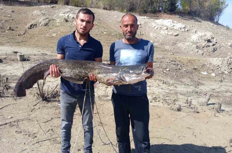 Baraj gölünde dev yayın balığı yakaladılar 