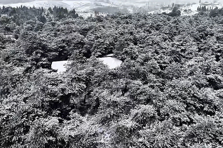 Başakşehir Şamlar Tabiat Parkı beyaza büründü 