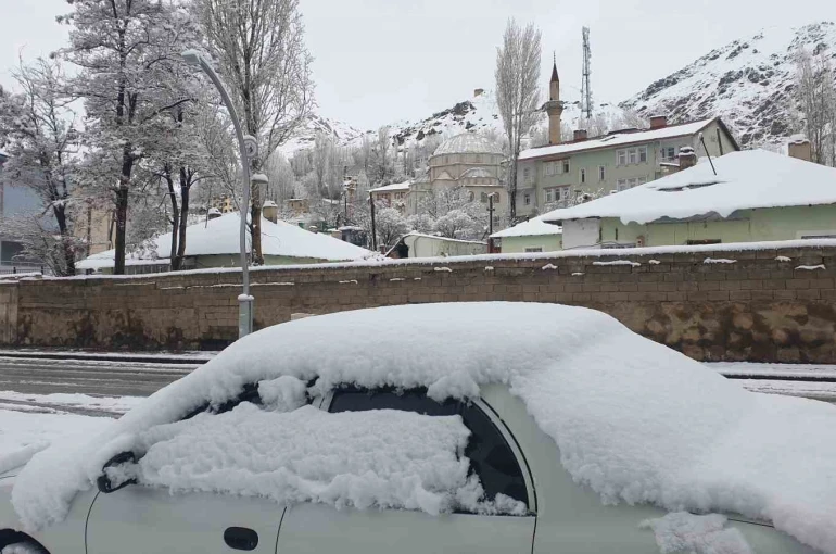 Başkale’de nisan ayında kar yağışı 