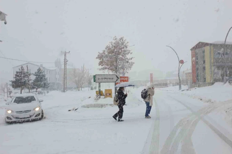 Başkale’de yoğun kar yağışı 