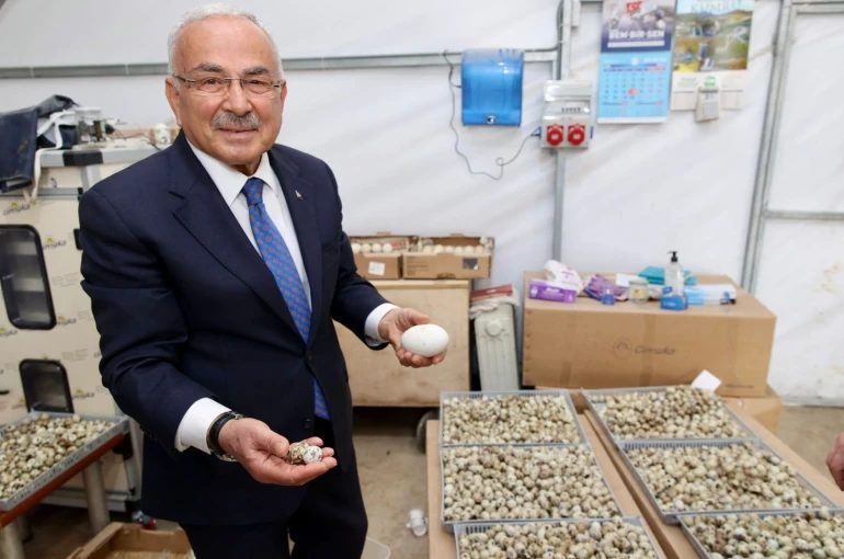 Başkan Güler: "Ordumuza yeni bir sektör hazırlıyoruz" 