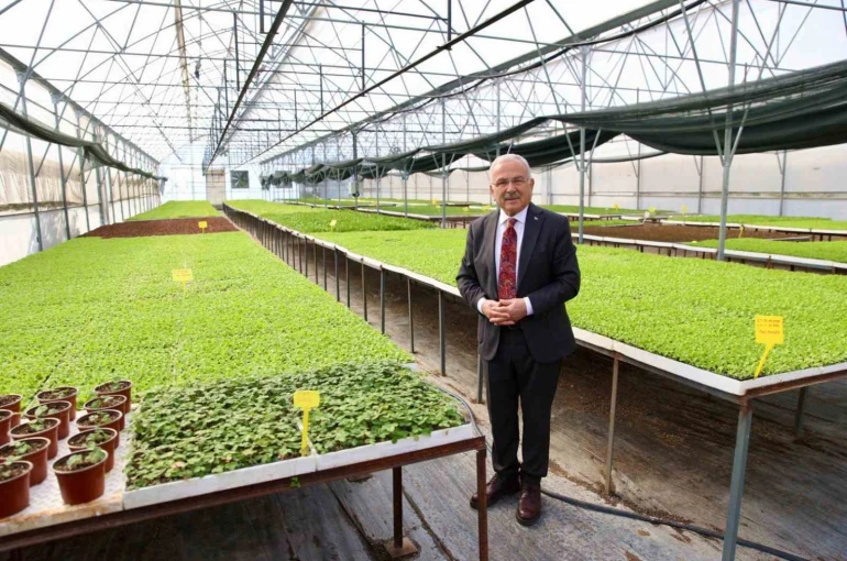 Başkan Güler: "Ürettiğimiz 4 milyon 600 bin fideyi üreticilerimize dağıttık" 