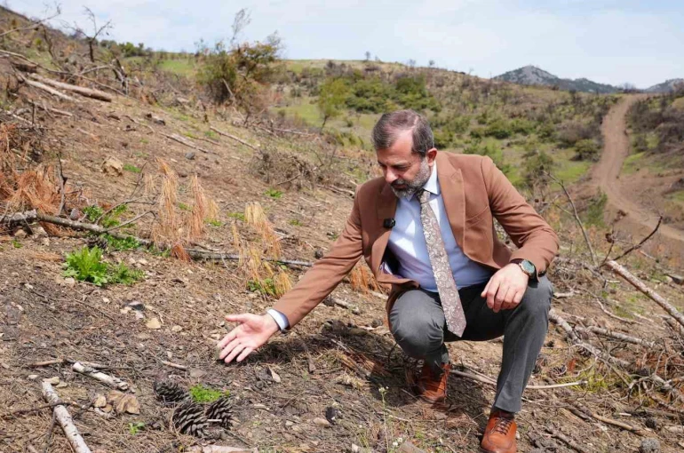 Başkan Işık’tan yeşil Gürsu çağrısı 