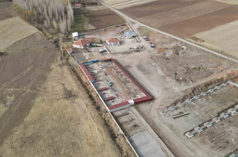 Başkan Metin’den sokak hayvanları için örnek hizmet 