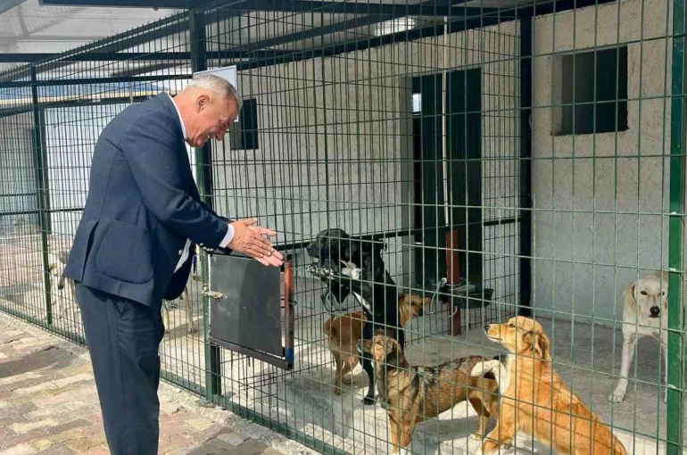 Başkan Yıldırımkaya: "Sultanhisar’da can dostlar emin ellerde" 