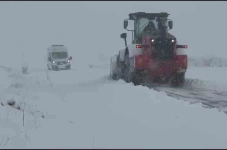 Batman’da 35 köy yolu ulaşıma açıldı, ziyaretçiler kurtarıldı 