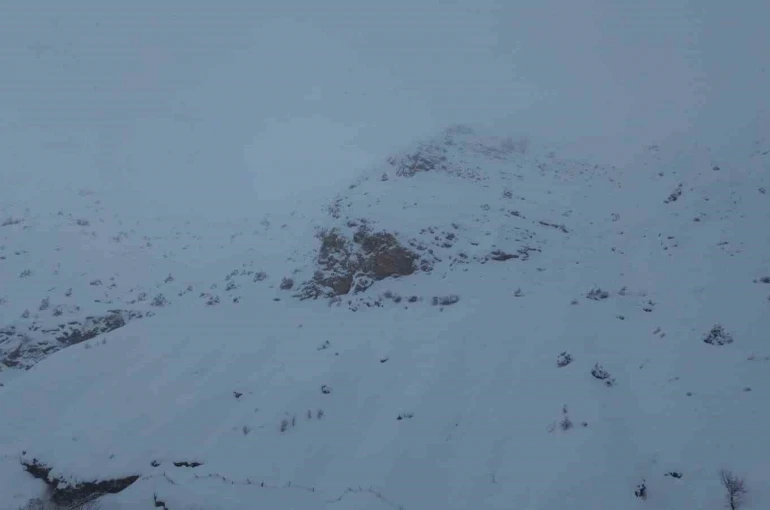 Batman’da ağıla çığ düştü: 45 küçükbaş hayvan telef oldu 