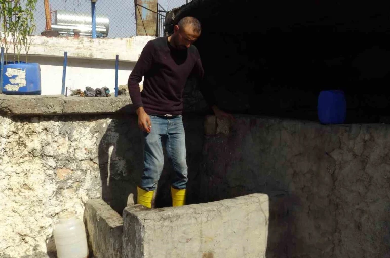 Batman’da bağbozumu heyecanı başladı 