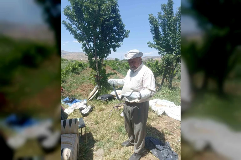 Batman’da bir vatandaş yakaladığı yılanı doğaya bıraktı 