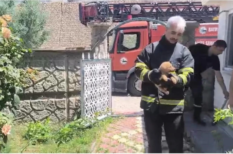 Batman’da fabrika duvarına sıkışan köpek kurtarıldı, işçiler hayvanı sahiplendi 