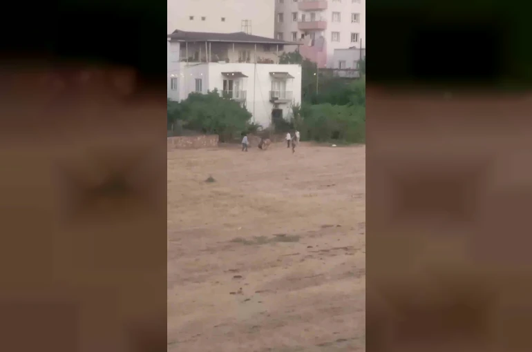 Batman’da huysuzlanan inek sahibini yaraladı 