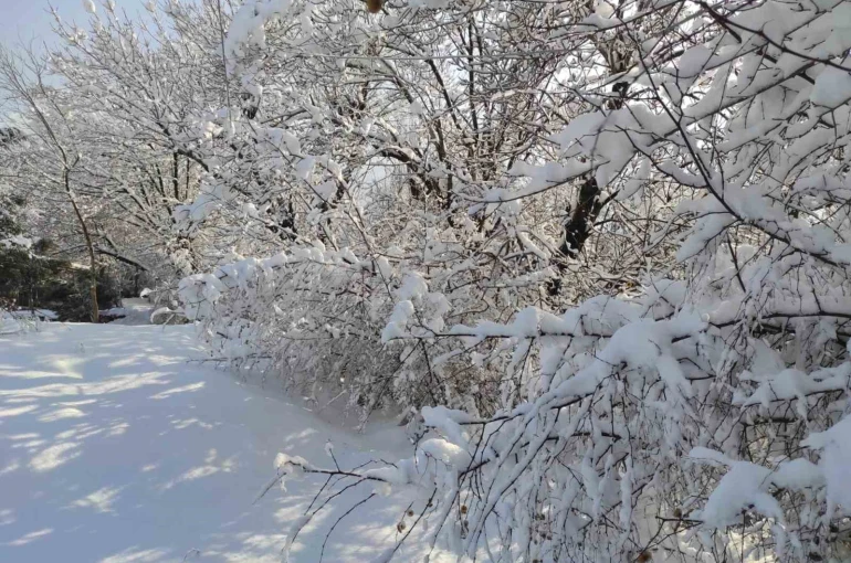 Batman’da kar manzaraları
