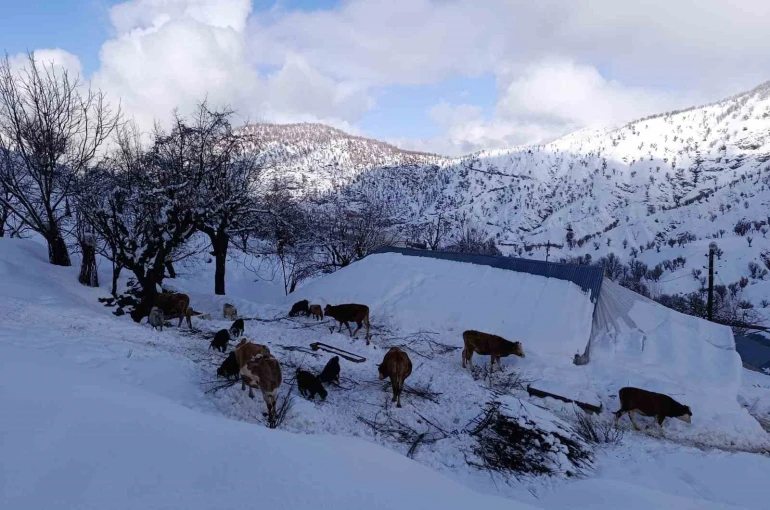 Batman’da mart ayında kar yağışı etkili oldu 