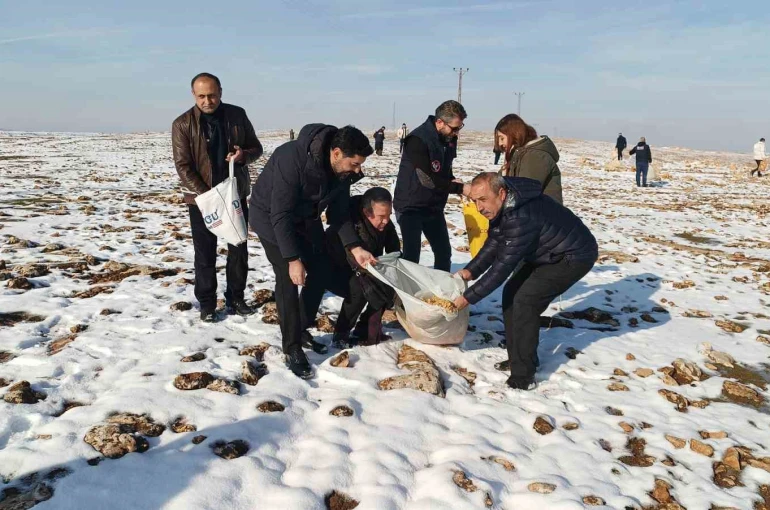 Batman’da yaban hayvanları için doğaya yem bırakıldı 