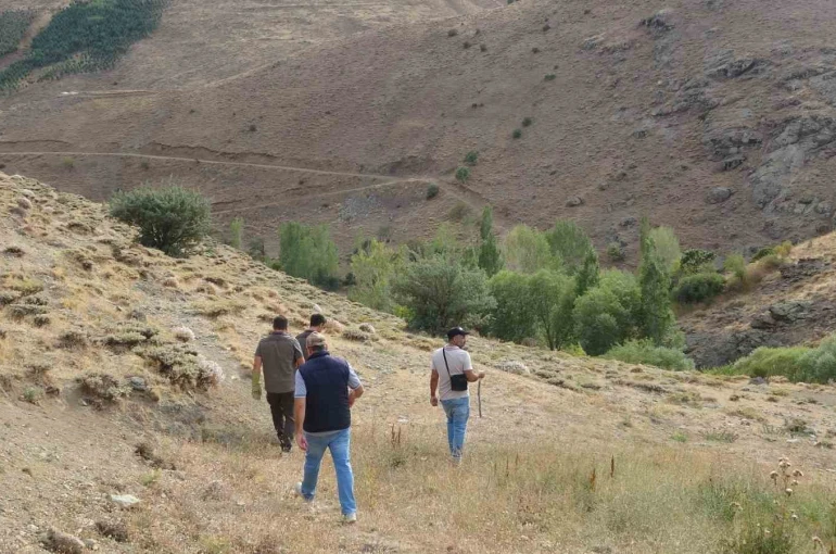 Bayburt’ta annesini kaybeden yavru ayı köyü alarma geçirdi 