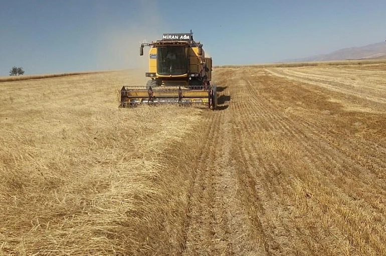 Bayburt’ta besici ve yetiştiricilere yemlik arpa satışı yapılacak 