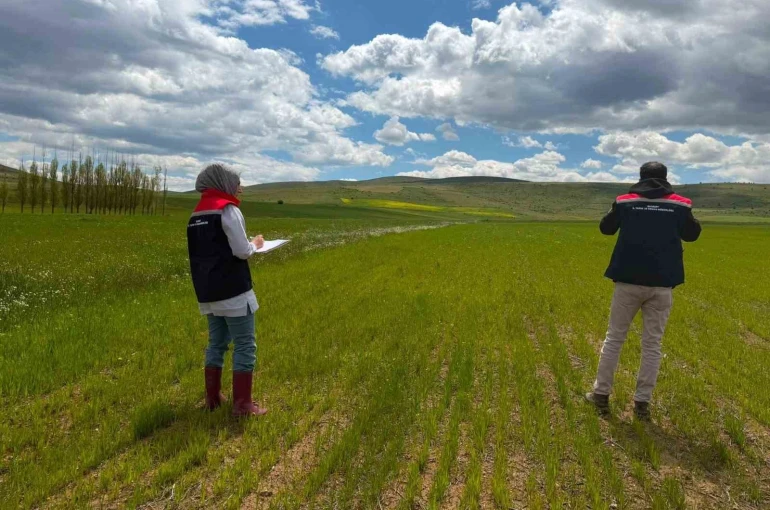 Bayburt’ta ÇKS ürün beyanı kontrolleri başladı