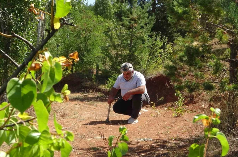 Bayburt’ta kehribarın zorlu mesaisi: Topraktan çıkarılan fosilleşmiş ağaç reçinesi takı ve tespihe dönüştürülüyor 