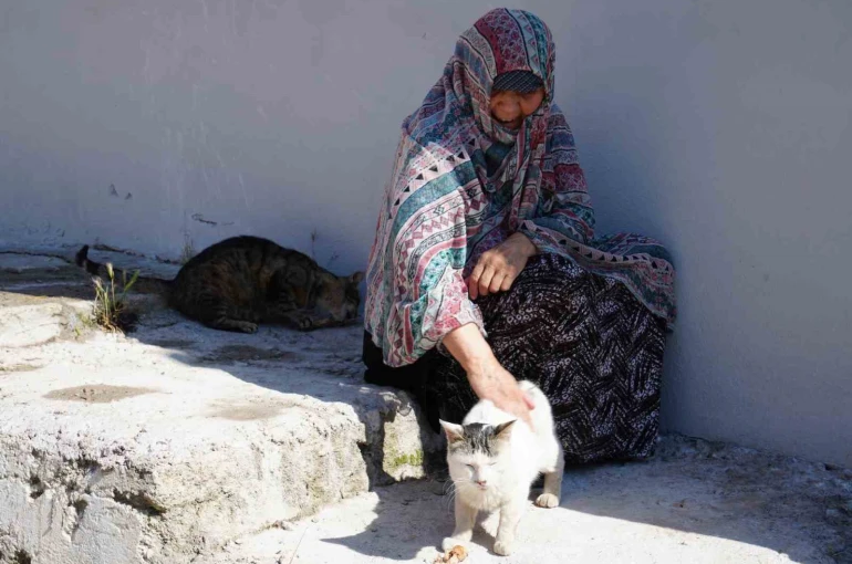 Bayburt’ta senelerdir sahipsiz hayvanları besleyen kadın, 10 yıldır baktığı sokak kedisini kaybetti: "İki gün ağladım"