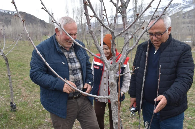 Bayburt’ta üreticilere aşılama ve budama eğitimi verildi 