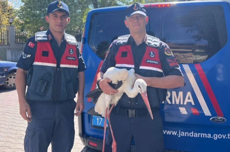 Bayramiç’te bulunan yaralı leylek tedavi altına alındı 