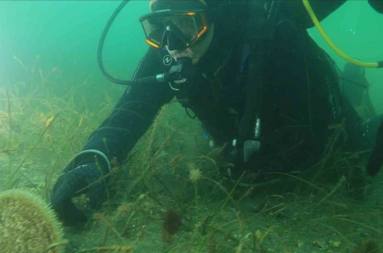 Belediye başkanı dalış yaptı, su altından müjdeyle çıktı