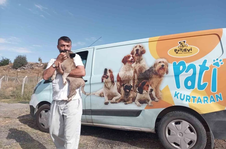 Belediye ekipleri nefes kesen operasyonla yavru köpeği kurtardı 
