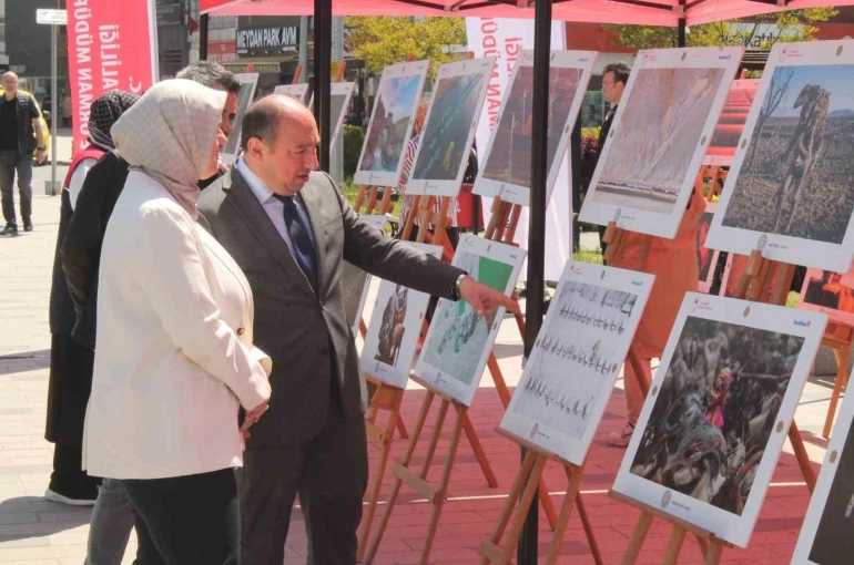 Bereketin Yüzyılı fotoğraf sergisi Düzce’de vatandaşlarla buluştu 