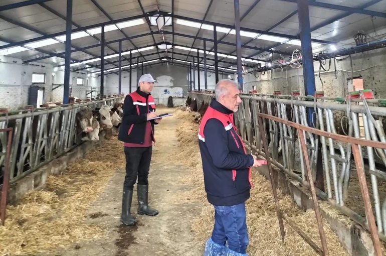 Besicilik işletmelerine yönelik ‘kapasite ölçümleri’ devam ediyor 