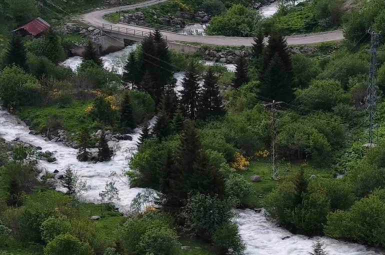 Beyaz örtü kalktı, Rize yaylaları yeşile büründü 