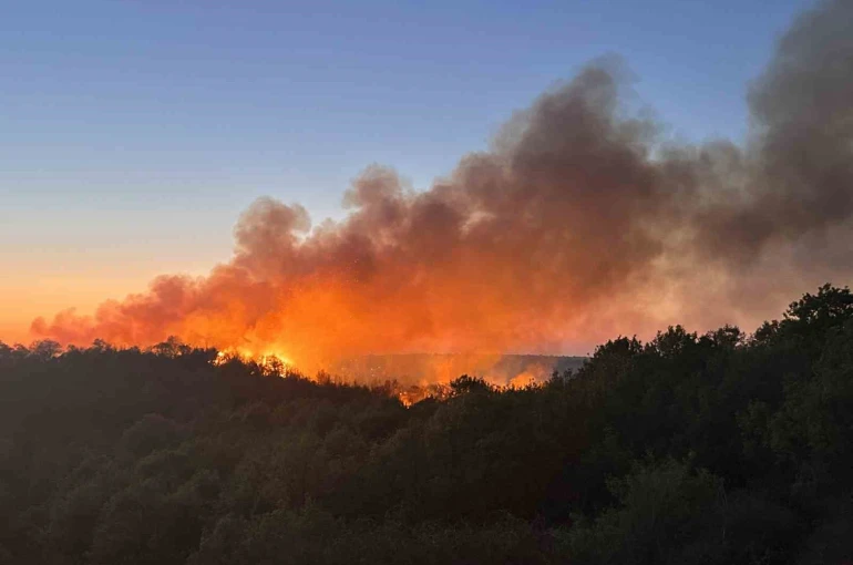 Beykoz’da 3 hektarlık alan küle döndü: Yangına müdahale devam ediyor 