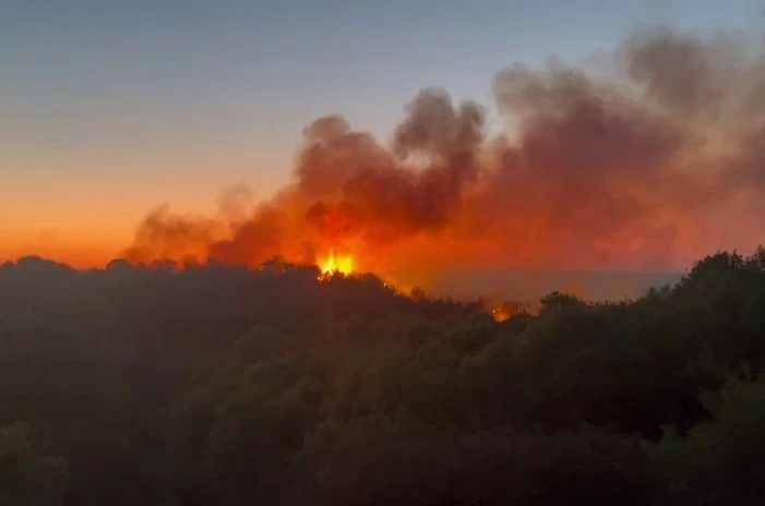 Beykoz’daki yangını söndürme çalışmaları devam ediyor 