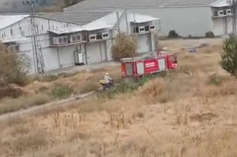 Beypazarı’nda otluk alanda yangın 