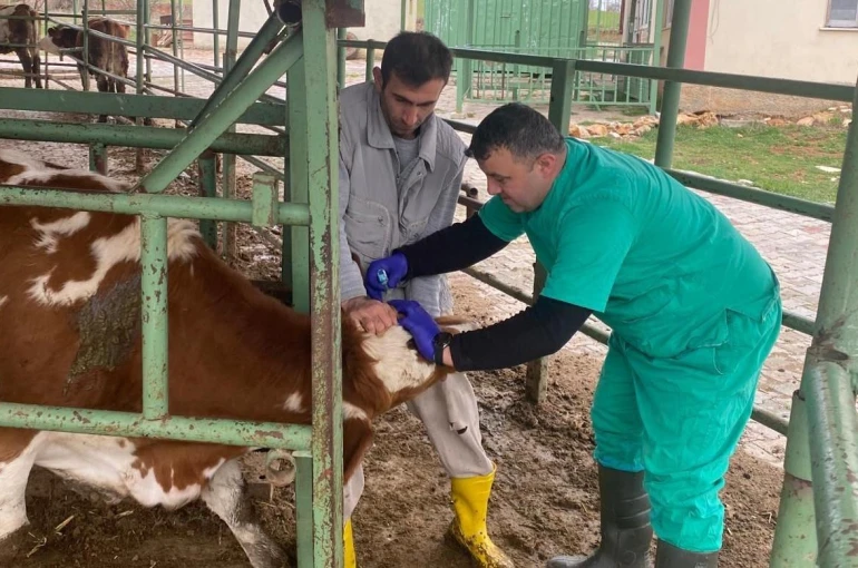 Beyşehir’de hayvan sağlığını koruma çalışmaları