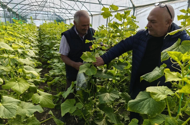 Beyşehir’de örtü altı üretim yaygınlaşıyor