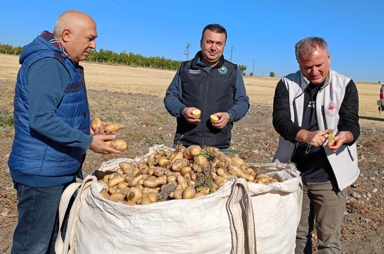 Beyşehir’de patates üreticisinin artan üretimle yüzü güldü