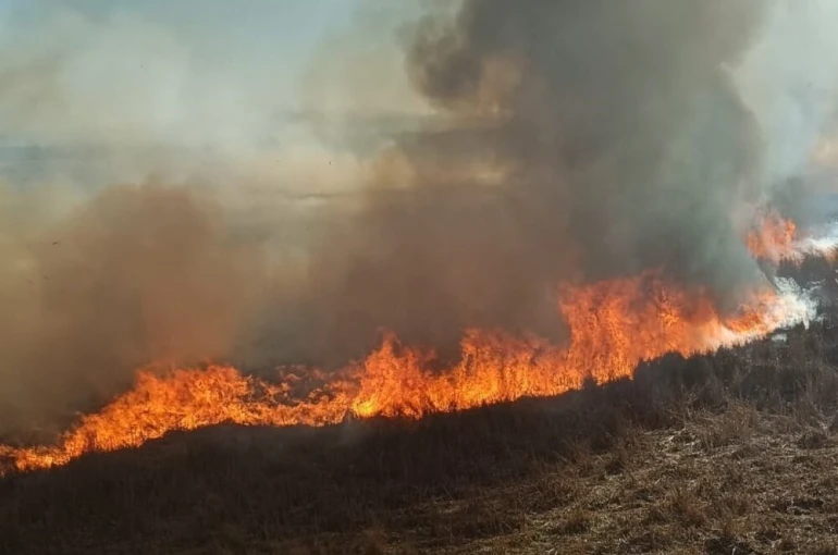 Beyşehir’de sazlıklar alev alev yandı 