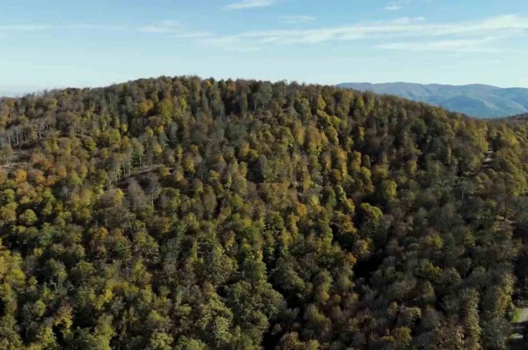 Biga’da sonbahar renklerine bürünen ormanlar havadan görüntülendi 