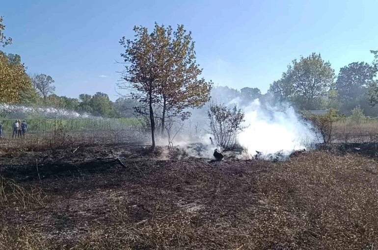 Bilecik Pazaryeri’nde arazi yangını çıktı