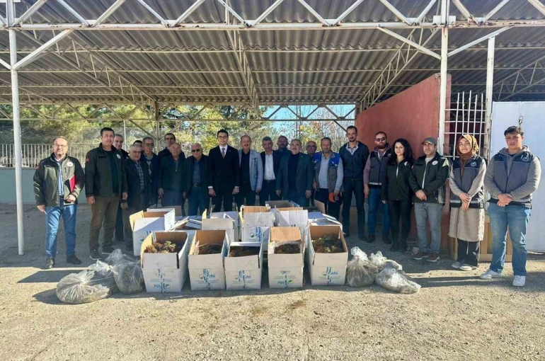 Bilecik’te 42 bin adet çilek fidesi dağıtıldı 