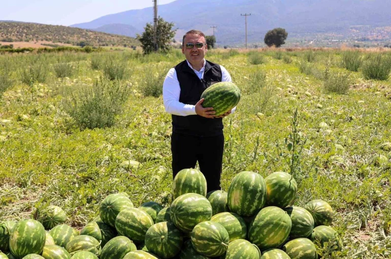 Bilecik’te 62 bin tonluk karpuz hasadı bekleniyor 
