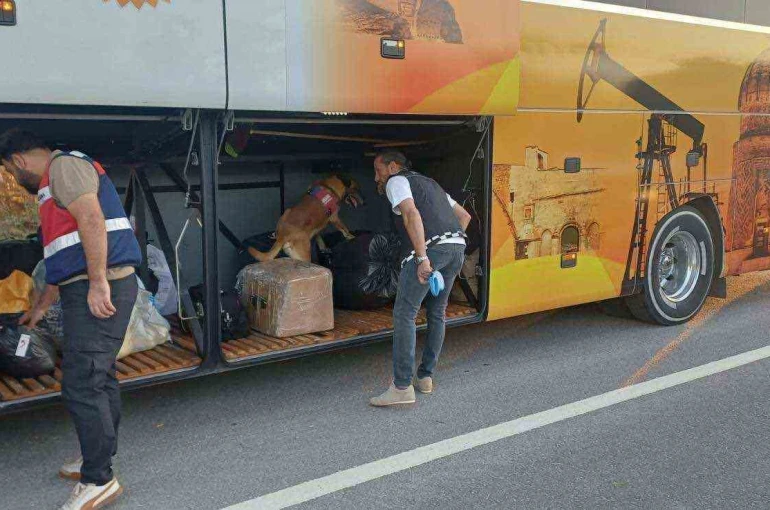 Bilecik’te 669 kişi sorgulandı: 1 kişi hakkında işlem başlatıldı